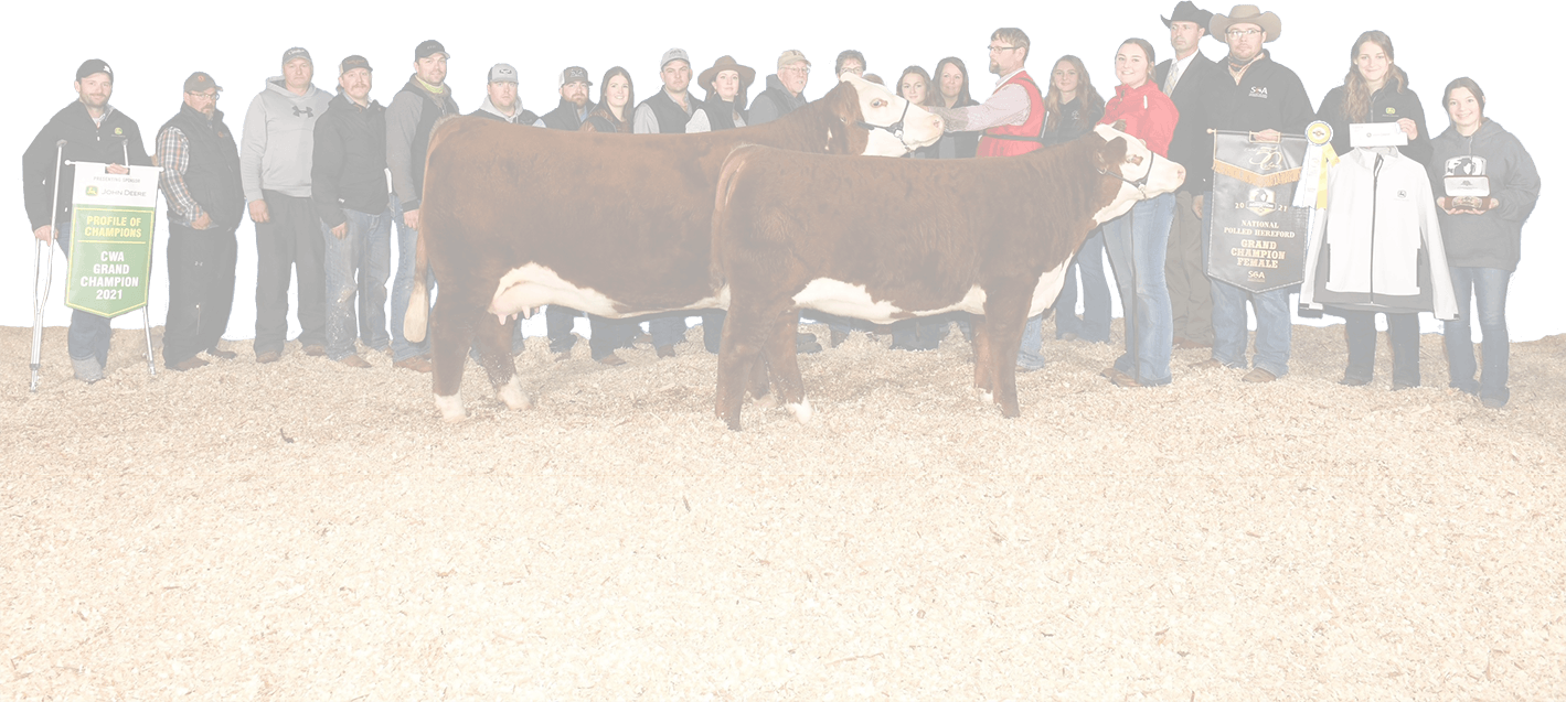 show picture